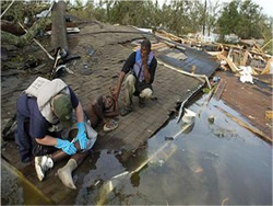 Photo of residents from a low-income neighborhood being assisted.