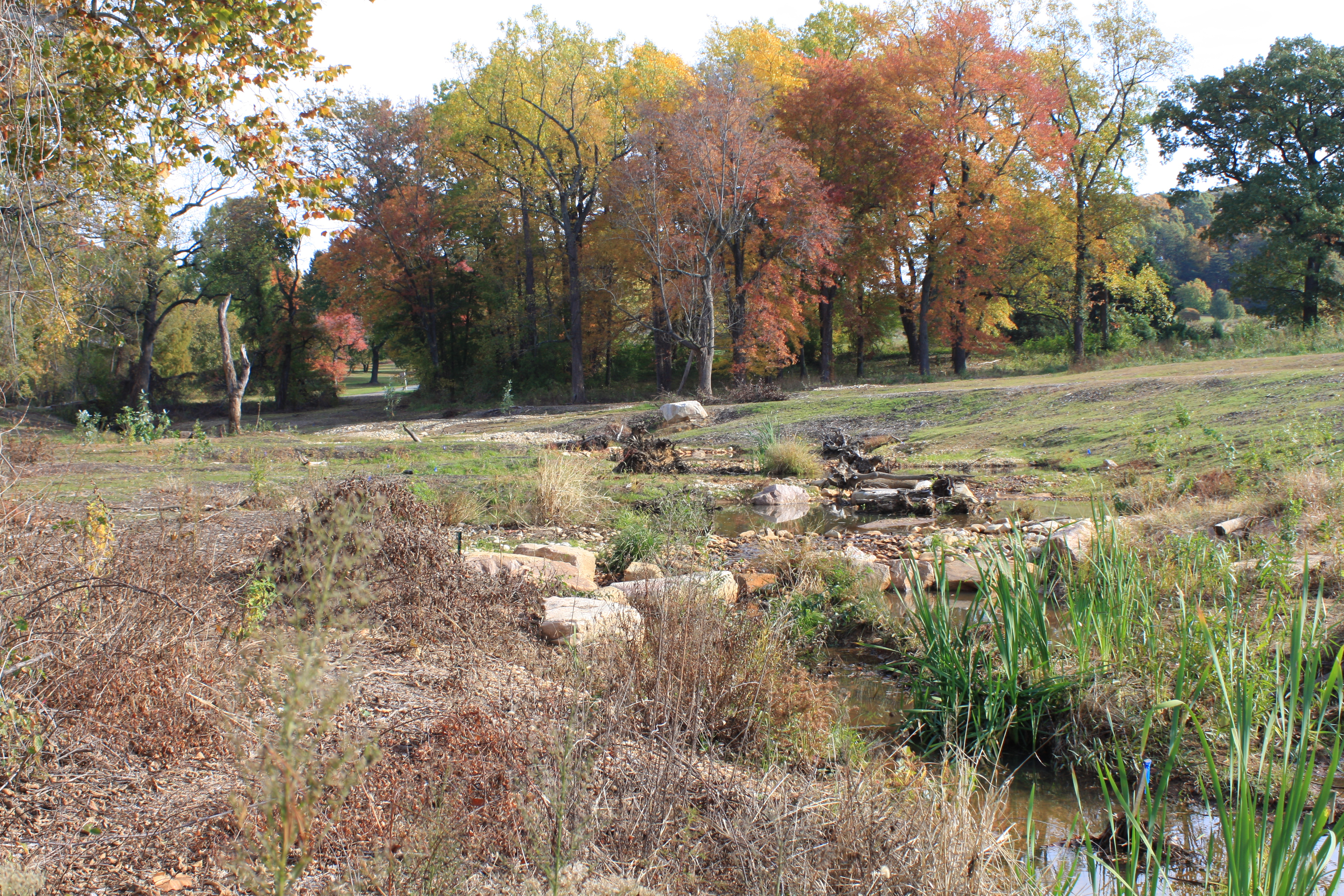 A photo of a stream in the Springhouse Run Stream Restoration project in Washington, D.C.