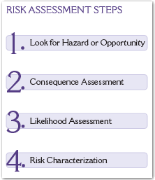 Risk Assessment Steps