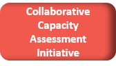 Collaborative Capacity Assessment Initiative