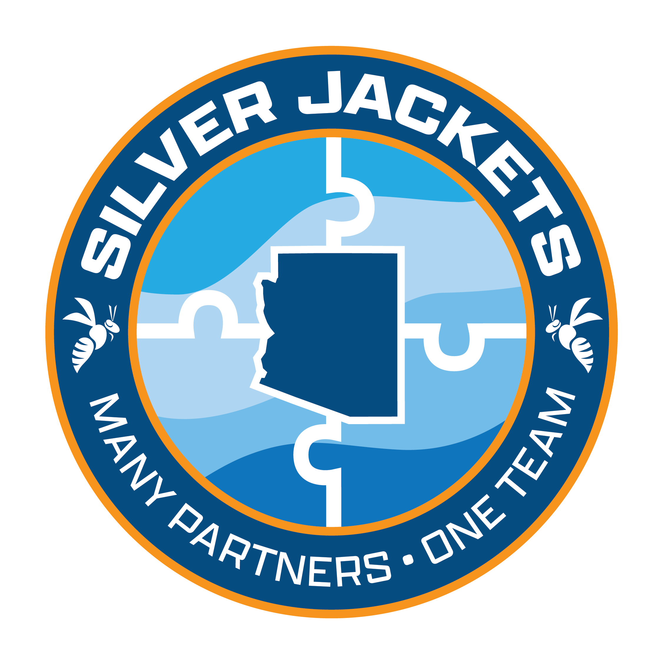 Arizona Silver Jackets logo