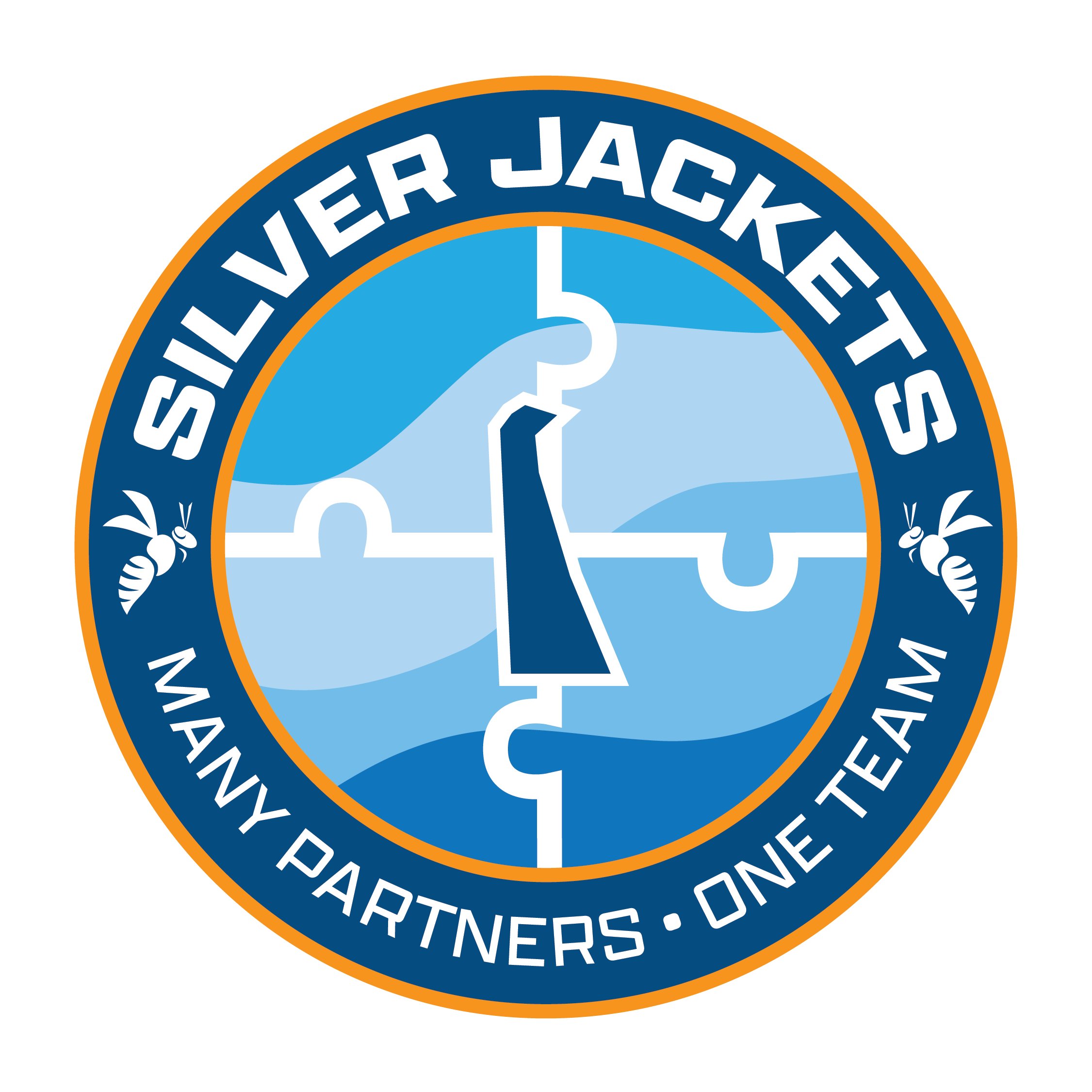 Delaware Silver Jackets logo