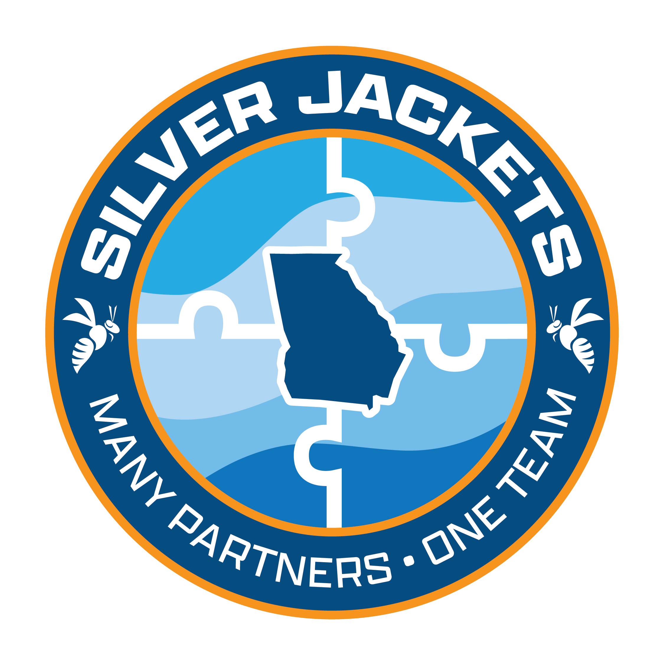 Georgia Silver Jackets logo