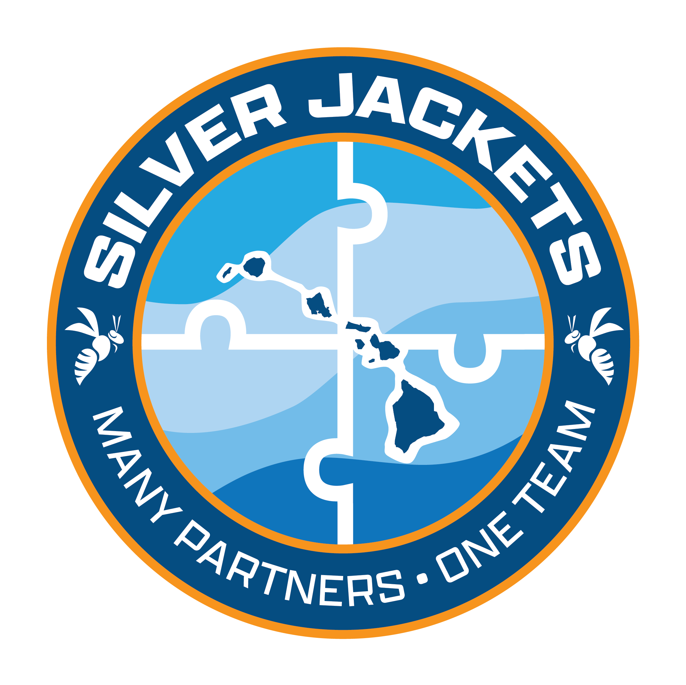 Hawaii Silver Jackets logo