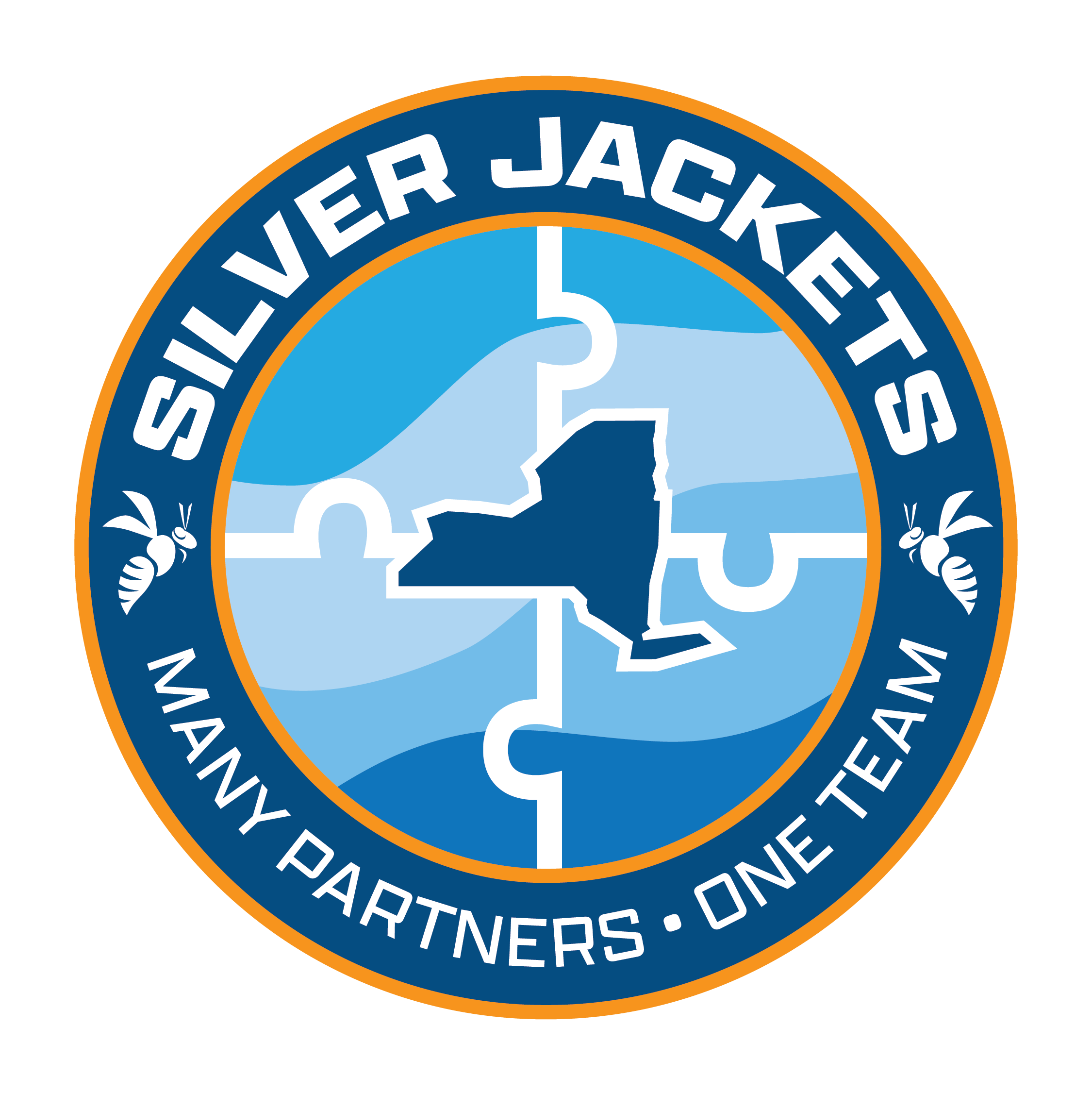 New York Silver Jackets logo