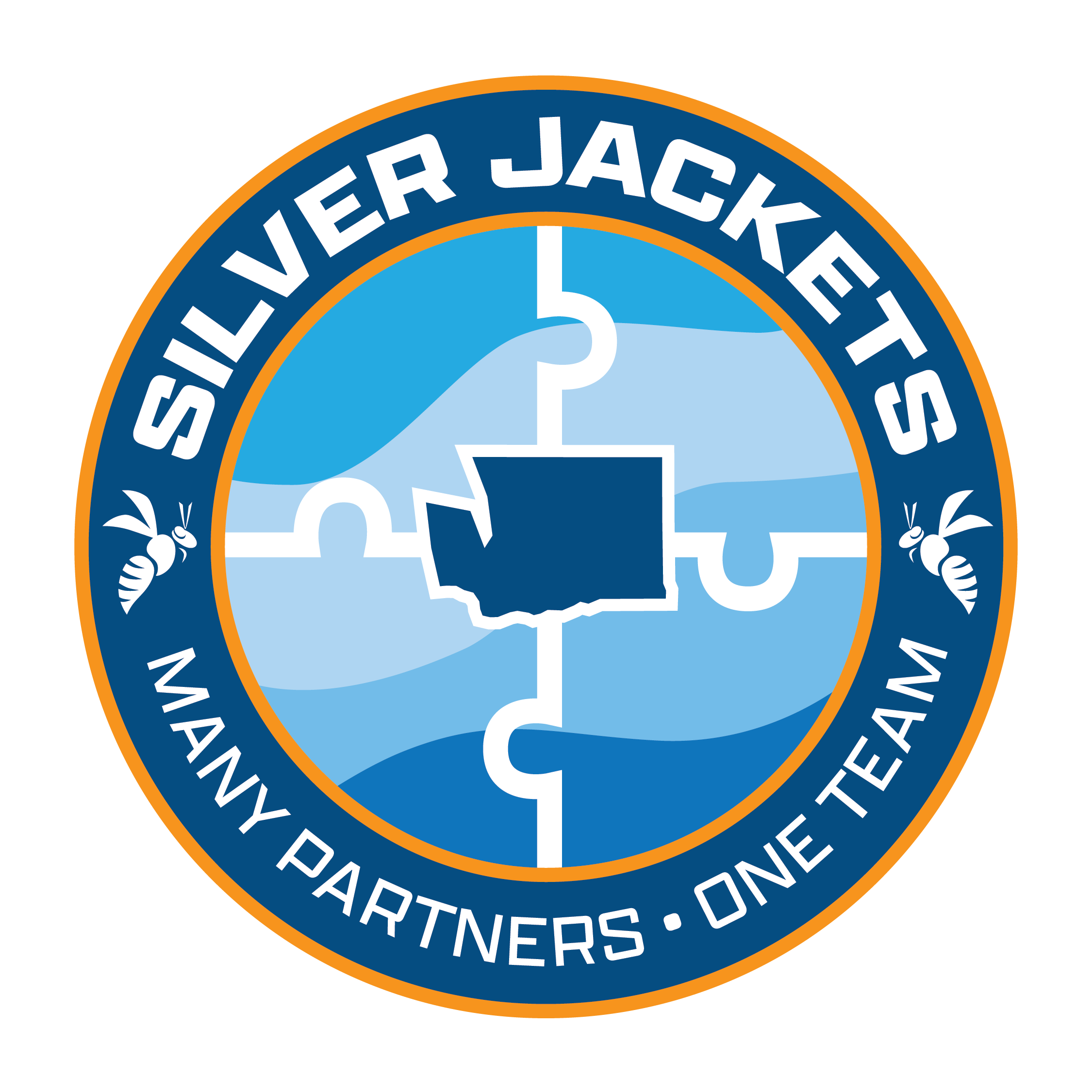 Washington Silver Jackets logo