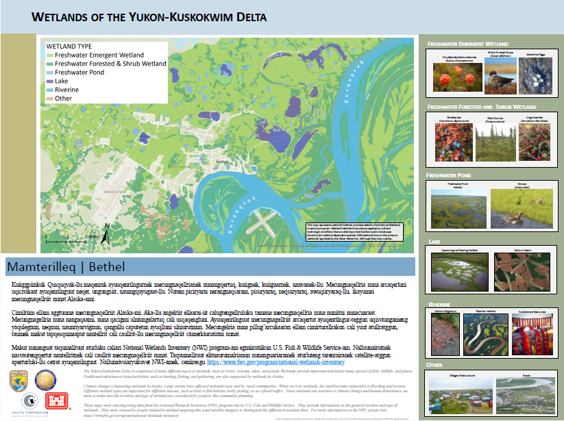 Wetlands of the Yukon-Kuskokwim Delta posters thumbnail