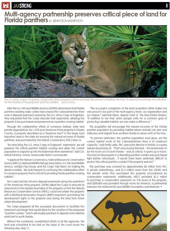 Image of Panther article