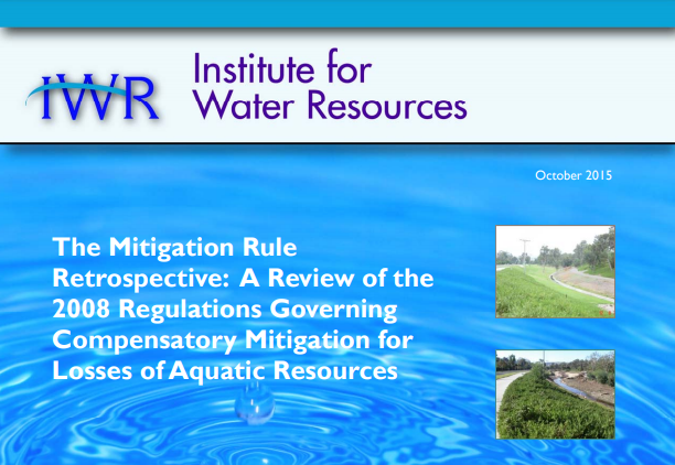 IWR Mitigation Rule Retrospective Report